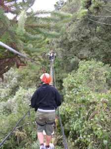 Arvorismo com Danny de Miranda