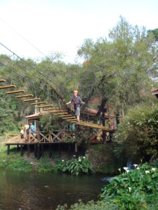 Arvorismo com Danny de Miranda