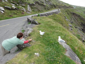 Danny na Irlanda