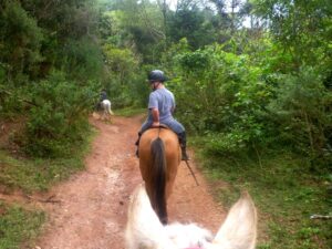 Monte Verde, Minas Gerais