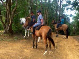Monte Verde, Minas Gerais